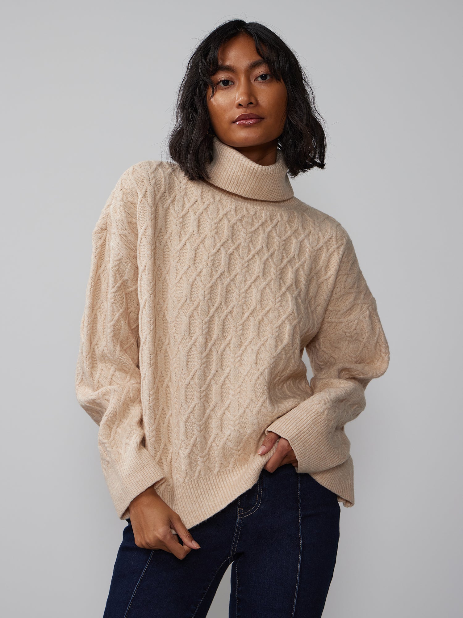 Novelty Long Sleeve Cable Knit Sweater – New York & Company