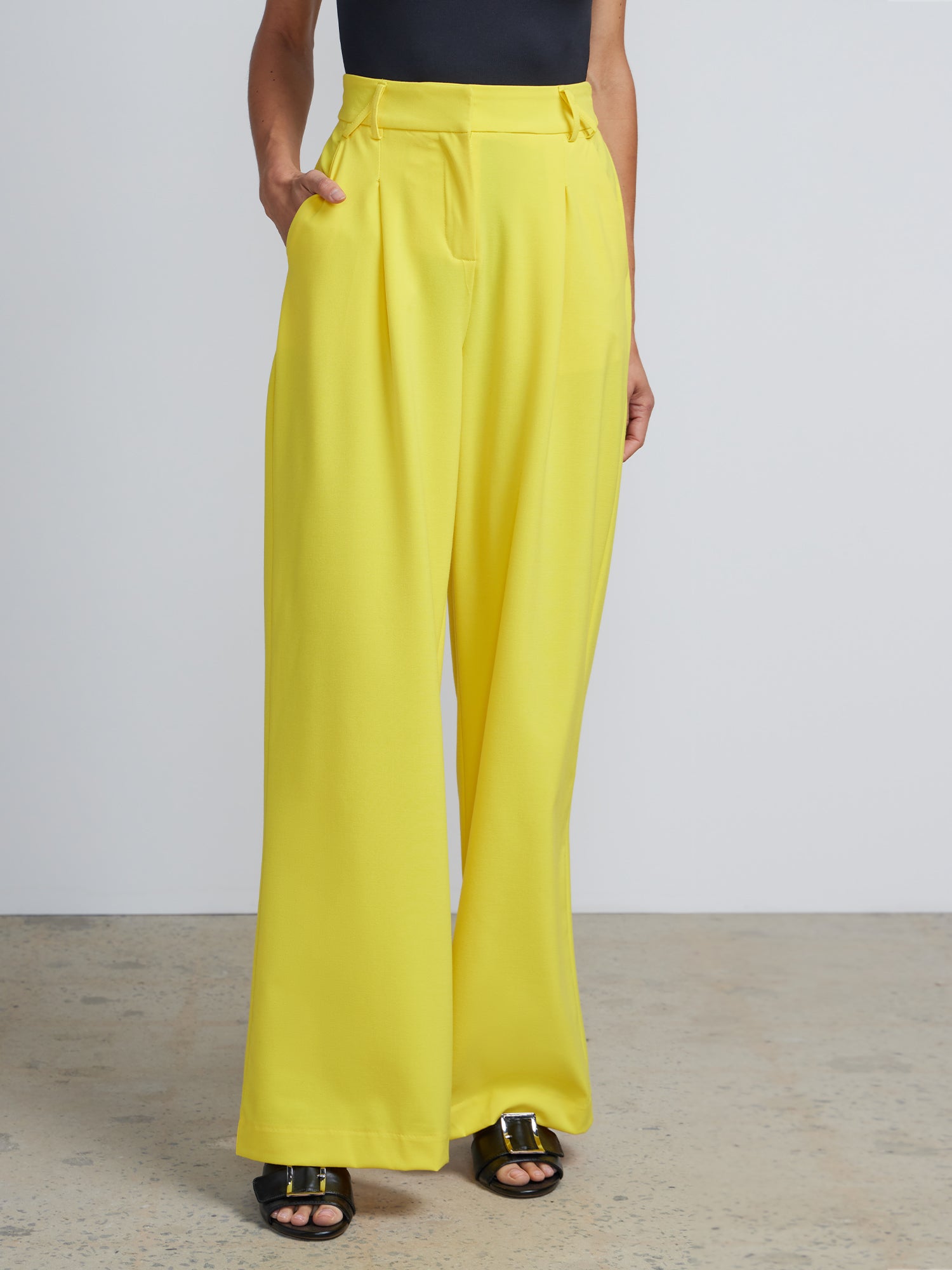 Wide Leg Pants – New York & Company