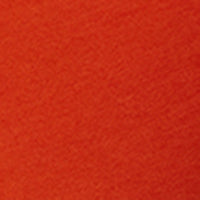 #swatch_VIVID ORANGE SCS