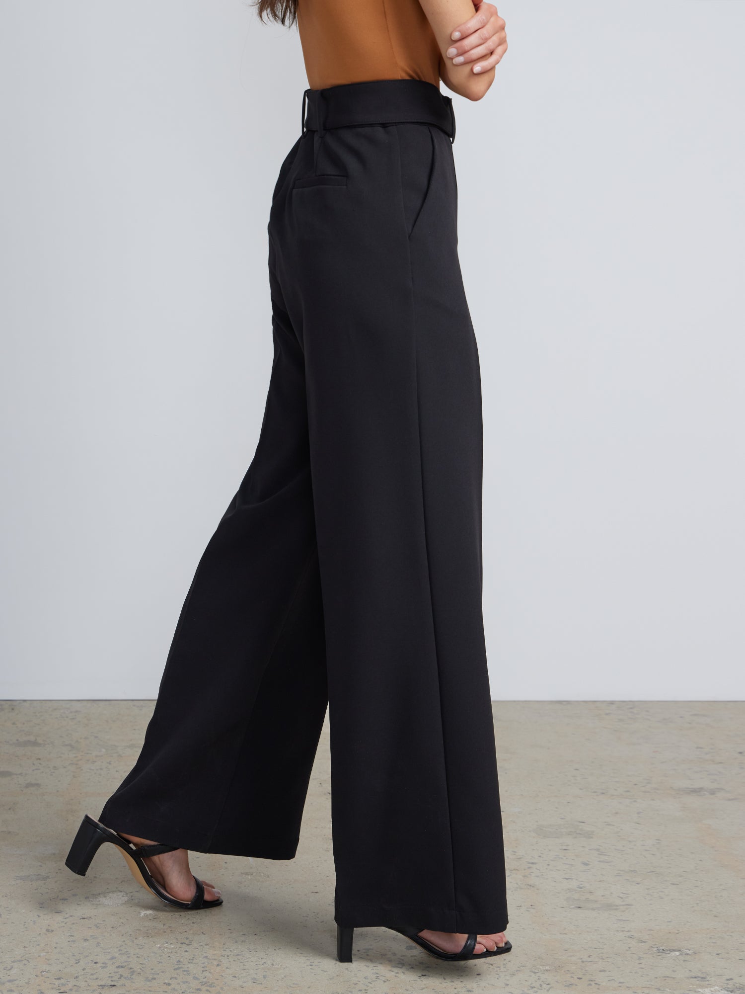 High Rise D-Ring Belt Wide Leg Pants – New York & Company