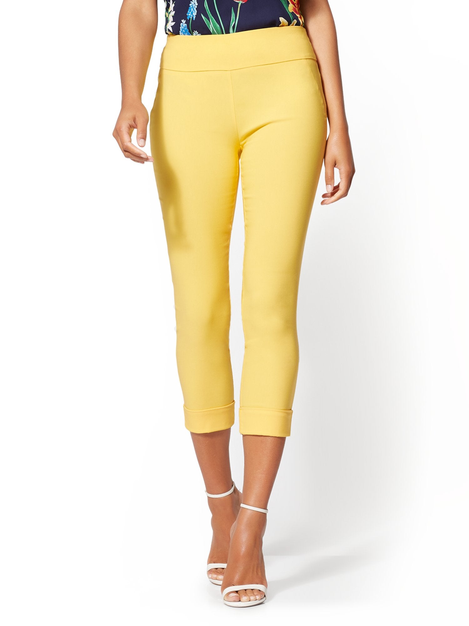 #color_DELIGHTFUL DAISY