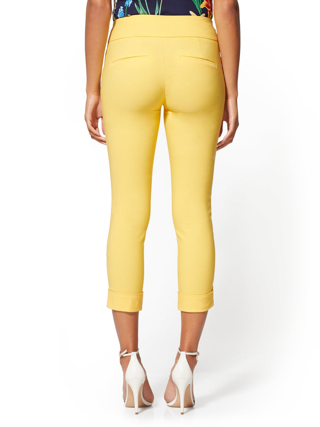 #color_DELIGHTFUL DAISY