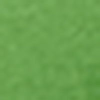 #swatch_PARKSIDE GREEN