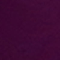 #swatch_PURPLE