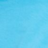 #swatch_REGIONAL BLUE