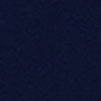 #swatch_NAVY
