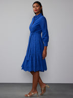 #color_ROBUST BLUE