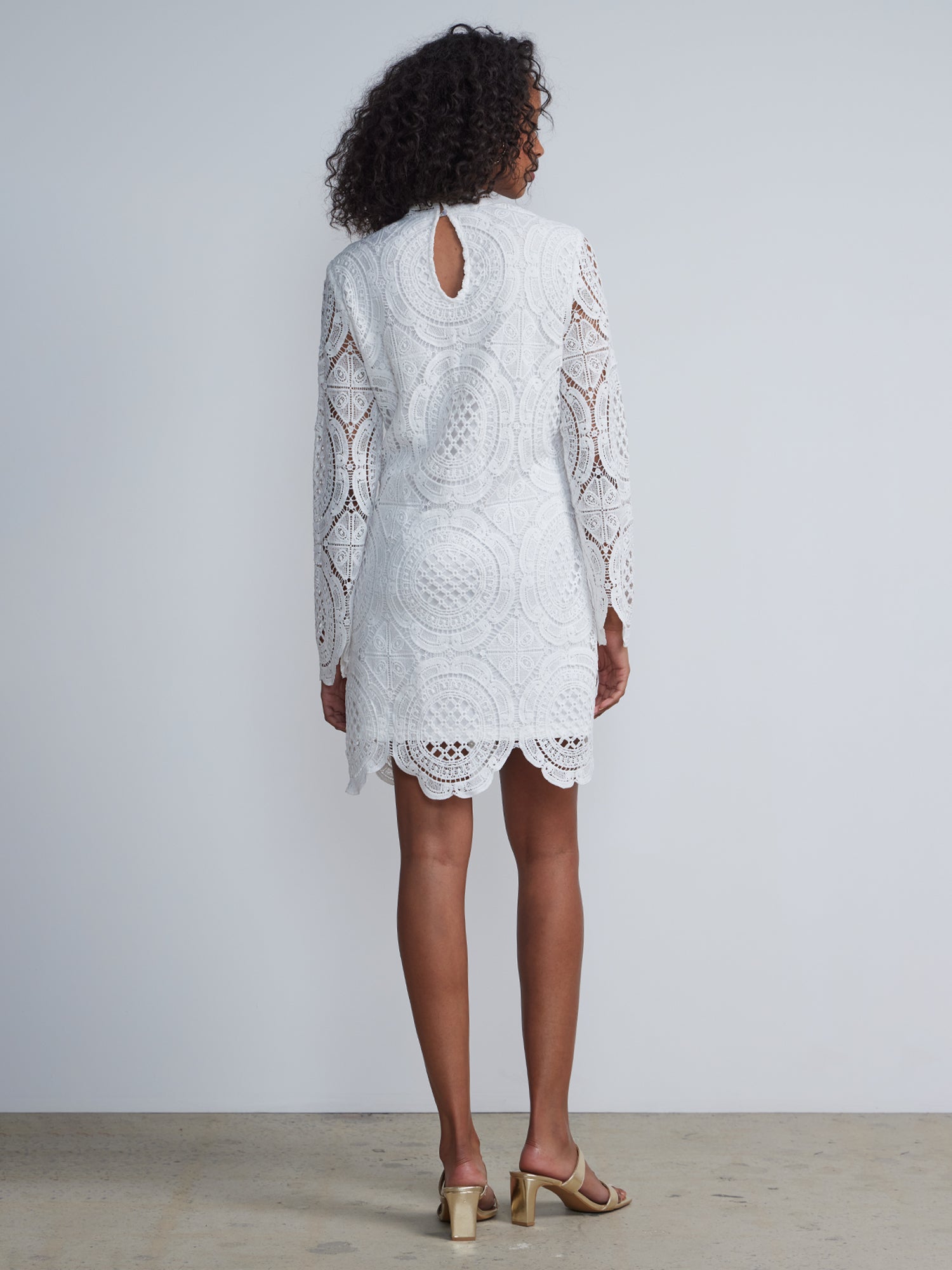 Long Sleeve Lace Shift Dress – New York & Company