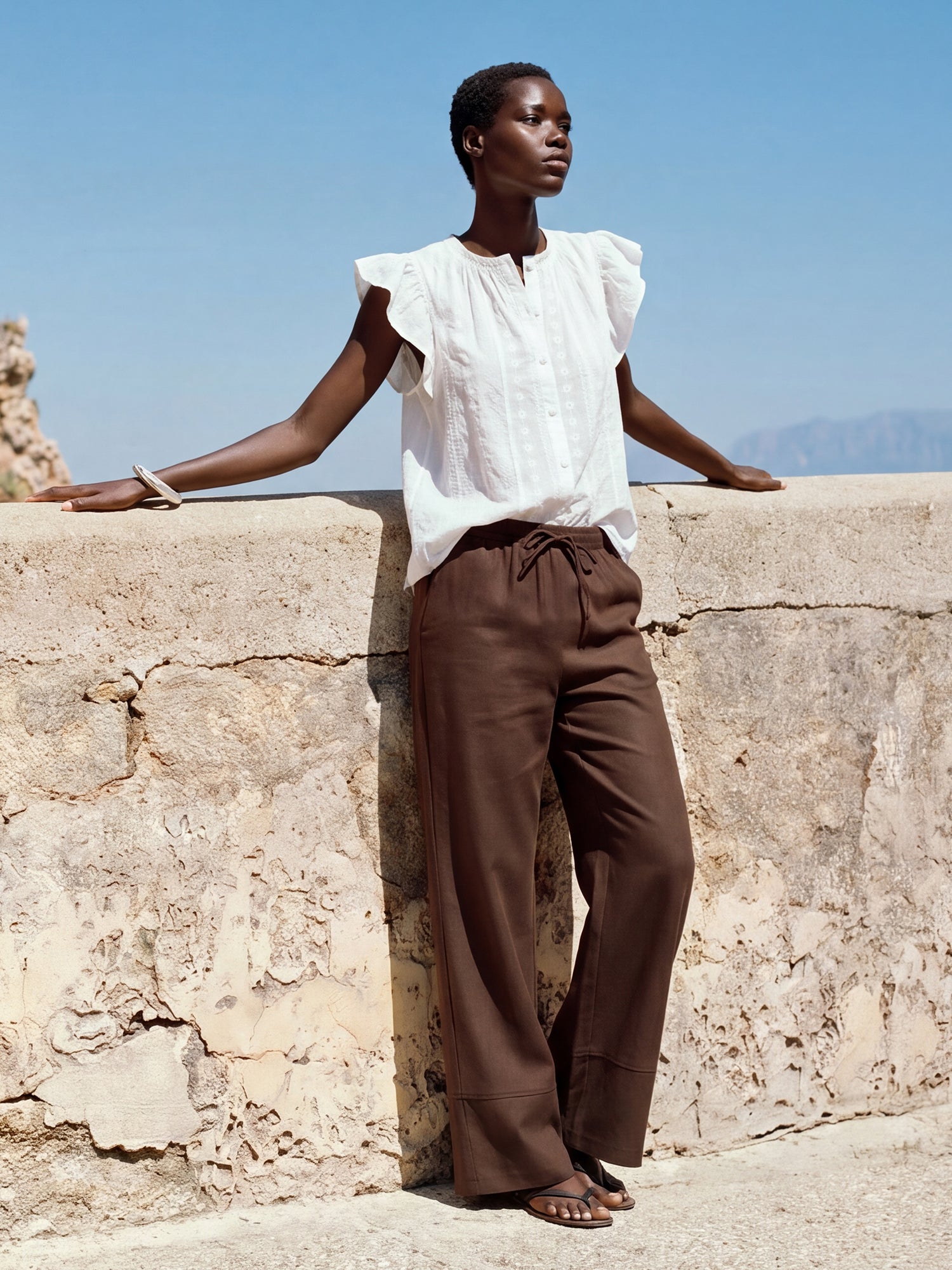 #color_BROWN